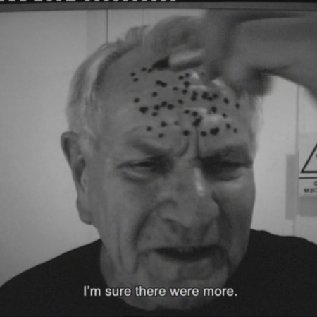 Józef Robakowski, Piegi, 2014