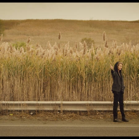 Agnieszka Kurant, „Cutaways”, 2013, film, 24 min, współpraca: Walter Murch, Will Holder, John Menick, Manuel Cirauqui, Stefan Węglowski, zdjęcia: Michael Simmonds, dzięki uprzejmości Tanya Bonakdar Gallery, New York / Los Angeles