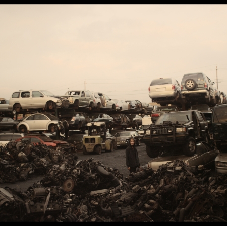 Agnieszka Kurant, „Cutaways”, 2013, film, 24 min, współpraca: Walter Murch, Will Holder, John Menick, Manuel Cirauqui, Stefan Węglowski, zdjęcia: Michael Simmonds, dzięki uprzejmości Tanya Bonakdar Gallery, New York / Los Angeles