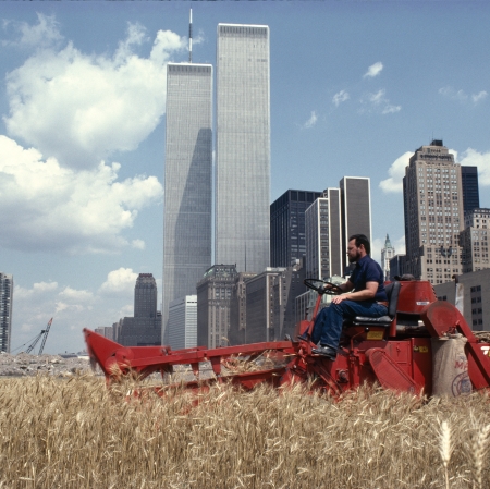 Agnes Denes, “Pole pszenicy – konfrontacja: wysypisko śmieci Battery Park, Dolny Manhattan”, 1982, wydruk Type-C, 57,8 x 73 cm, © the artist and Leslie Tonkonow Artworks + Projects, New York