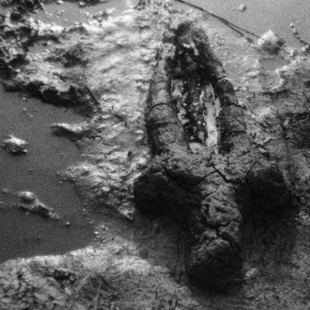 Ana Mendieta, Narodziny (Prace z prochem), 1981, film 8mm przeniesiony na HD, 2\'59\'\' © The Estate of Ana Mendieta Collection, LLC Galerie Lelong & Co., New York