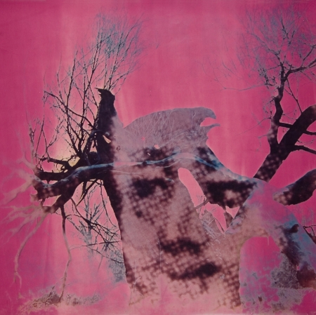 Antoni Mikołajczyk, No title, 1968, photomontage, original technique, gelatin-silver print, Muzeum Sztuki w Łodzi collection