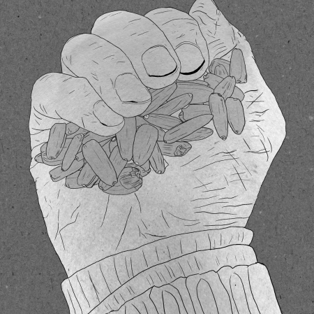 Untitled (a fist for the Famine Food project), 2010, courtesy of the artist 