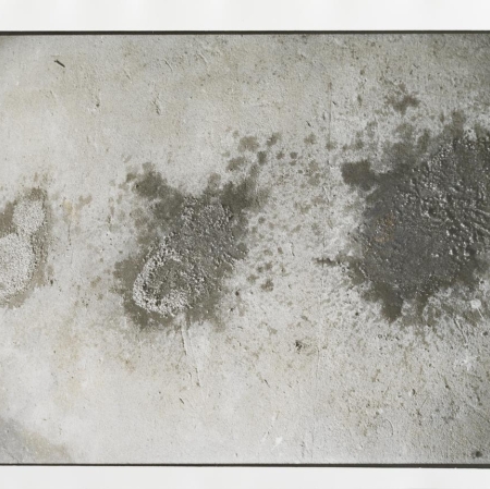 Teresa Murak, from the "Ścierki Wizytek" series, 1988, photograph