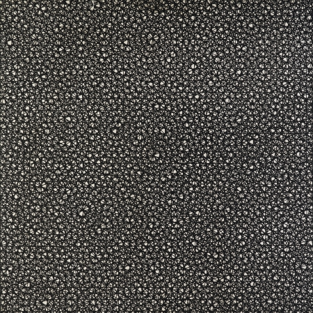 François Morellet, 3 siatki nałożone pod kątem 0, 30, 60 stopni, 1972,  malarstwo akrylowe, Muzeum Sztuki w Łodzi