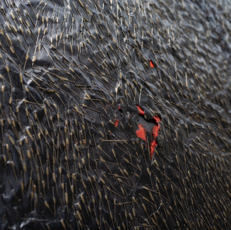 Teresa Tyszkiewicz, "Épingle, rouge et noir", 1985, pins, paper, acrylic and oil on canvas, 300 x 150 cm, detail, courtesy of the artist, photo: Anna Zagrodzka 