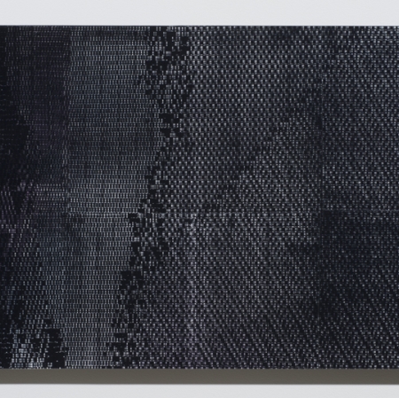 Agnieszka Kurant, „Ewolucje”, 2014, druk lentykularny, dzięki uprzejmości Tanya Bonakdar Gallery, New York / Los Angeles