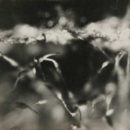 Zbigniew Dłubak, „Dzieci śnią o ptakach”, 1948 r., fotografia czarno-biała, z kolekcji Muzeum Sztuki w Łodzi 