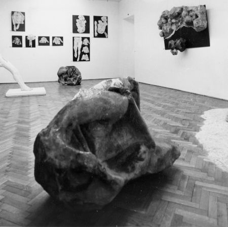 Dokumentacja wystawy „Alina Szapocznikow. Rzeźba”, fot. archiwum Muzeum Sztuki w Łodzi