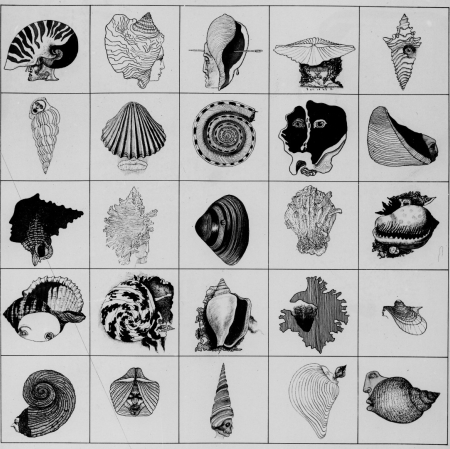 Dokumentacja wystawy „Andrzej Strumiłło. Rysunek –  fotografia”, fot. archiwum Muzeum Sztuki w Łodzi