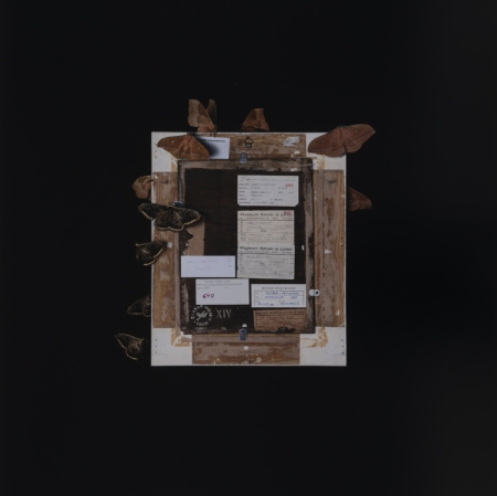 Jasmina Cibic "Revolutionary Artists. Sophie Taeuber-Arp", 2021, digital print, Collection of Muzeum Sztuki in Łódź