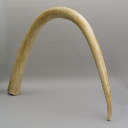 Joanna Malinowska "Mammoth Tusk", 2015, sculpture, Collection of Muzeum Sztuki in Łódź