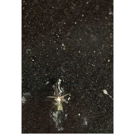 Krzysztof Pruszkowski, Warszawa, z cyklu Katastrofy, 2017