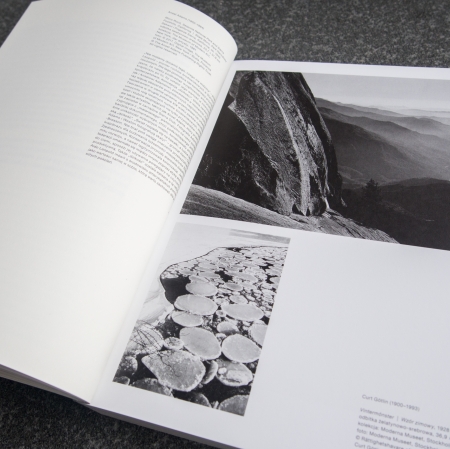 Superorganism. The Avant-Garde and the Experience of Nature, photo: J. Kostarska-Talga