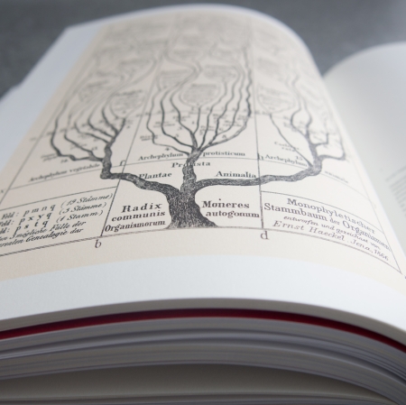 Superorganism. The Avant-Garde and the Experience of Nature, photo: J. Kostarska-Talga