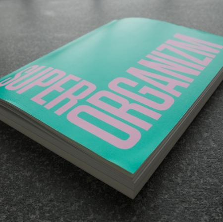 Superorganism. The Avant-Garde and the Experience of Nature, photo: J. Kostarska-Talga