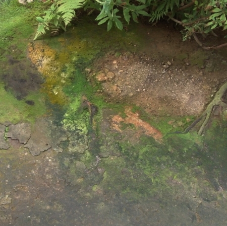 Życie cząstek, Angela Melitopoulos i Maurizio Lazzarato