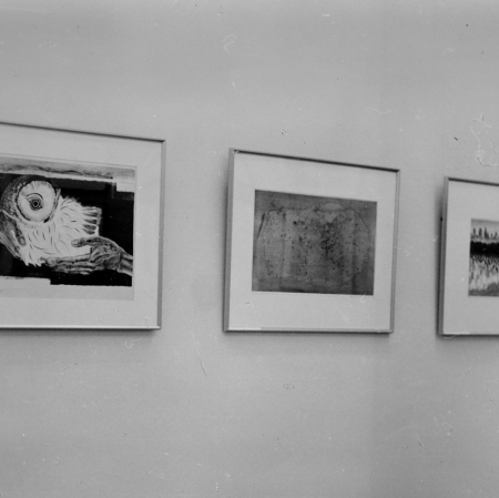 Widok wystawy „Współczesna grafika japońska”, fot. archiwum Muzeum Sztuki w Łodzi