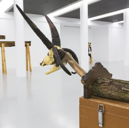 dokumentacja wystawy, fot. Piotr Tomczyk