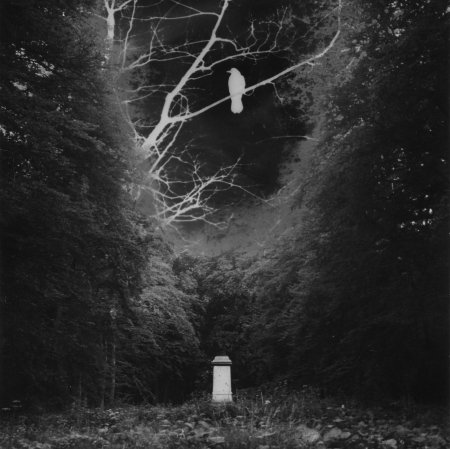 Andrzej Różycki, Cage, 1969, photomontage, gelatin-silver print, Dariusz  Bieńkowski colletction