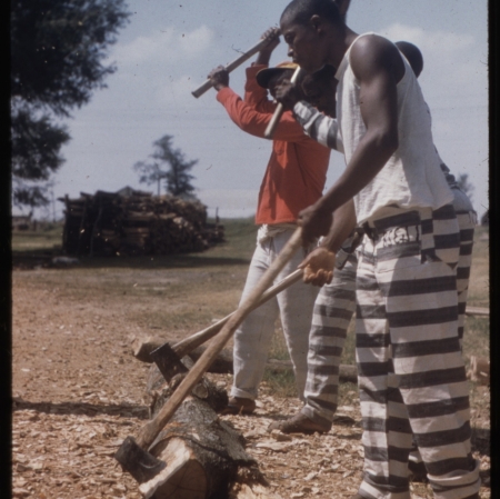 Alan Lomax, Prisoners chopping wood. Mississippi State Penitentiary (Parchman Farm) (Więźniowie rąbiący drewno. Stanowe Więzienie Mississippi (Farma Parchman), 1959, kolekcja American Folklife Center, Library of Congress. Dzięki uprzejmości the Association for Cultural Equity
