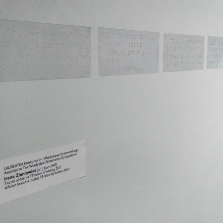  Instalacja Ireny Zieniewicz Teoria widzenia, 2017