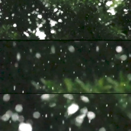 Życie cząstek, Angela Melitopoulos i Maurizio Lazzarato