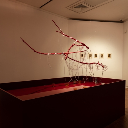 Works of Luiza Prado de O. Martins, Diana Lelonek, part of the exhibition "The Earth is Flat Again", photography: A. Zagrodzka