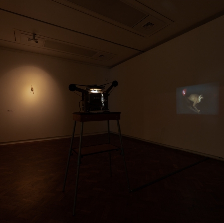 Works of Zuza Piekoszewska, João Maria Gusmão, Pedro Paiva, part of the exhibition "The Earth is Flat Again", photography: A. Zagrodzka