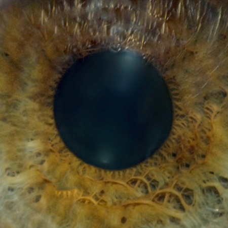 close-up on eye