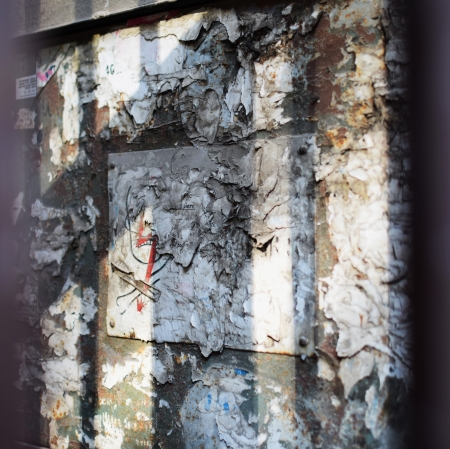 fot. Wiktoria Rółkowska