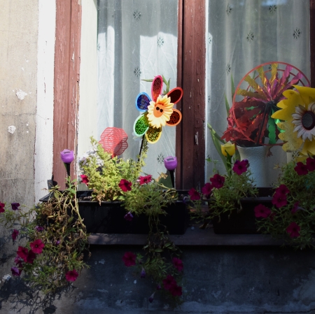 fot. Wiktoria Rółkowska