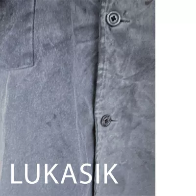 Lukasik. Inwentaryzacja